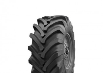 800/65R32 Росава Ф-81 167A6 Сільгосп шина